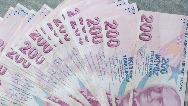 Hazine 80,5 milyar lira borçlandı